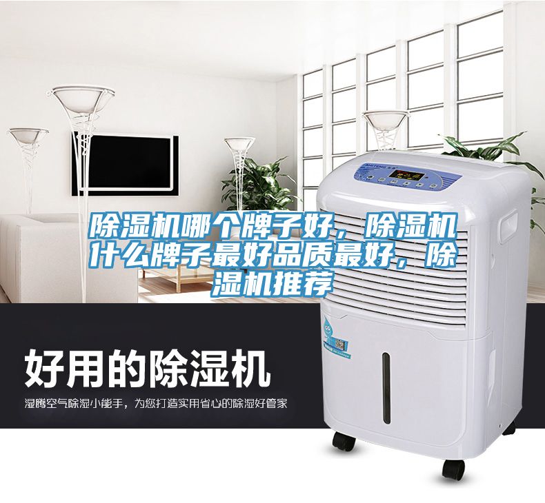 亚洲欧美一级特黄大片 除湿机哪个牌子好，除湿机什么牌子最好品质最好，除湿机推荐