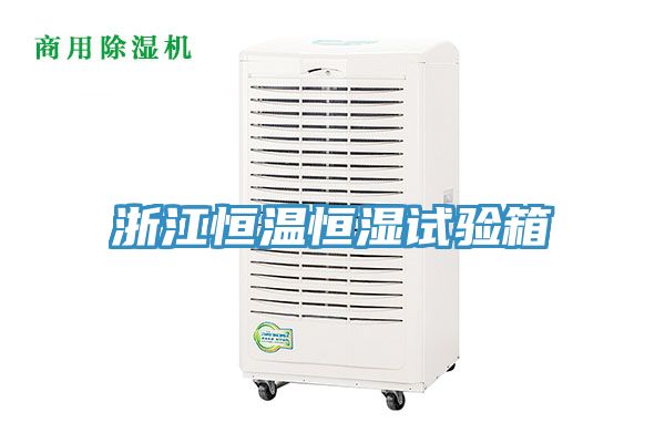 亚洲欧美一级特黄大片 浙江恒温恒湿试验箱