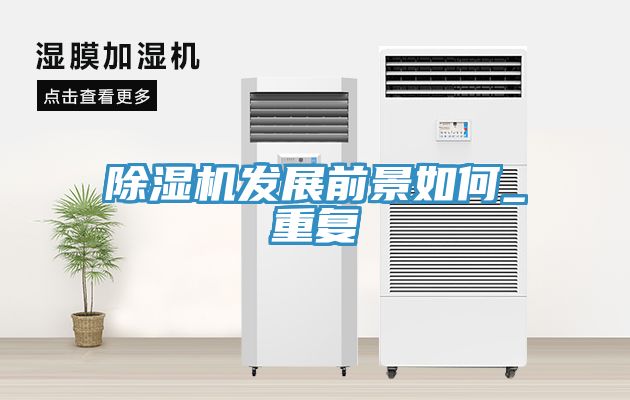 亚洲人成综合第一网站 除湿机发展前景如何_重复