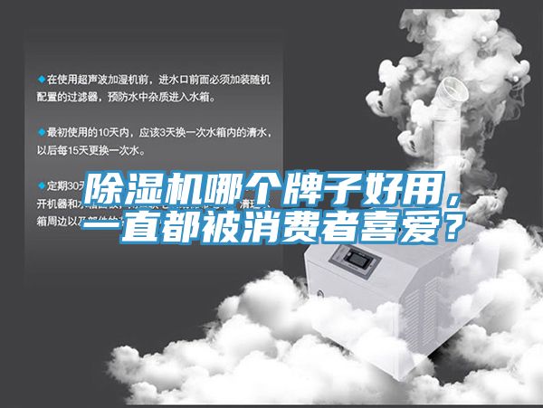 亚洲欧美一级特黄大片 除湿机哪个牌子好用，一直都被消费者喜爱？