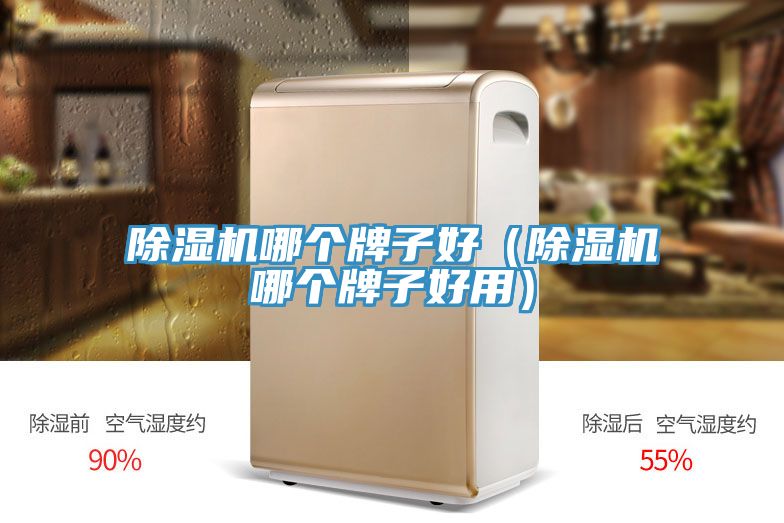 亚洲欧美一级特黄大片 除湿机哪个牌子好（除湿机哪个牌子好用）