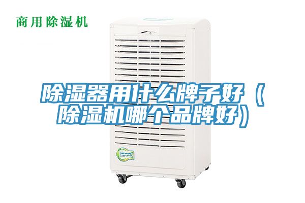 亚洲人成综合第一网站 除湿器用什么牌子好（除湿机哪个品牌好）