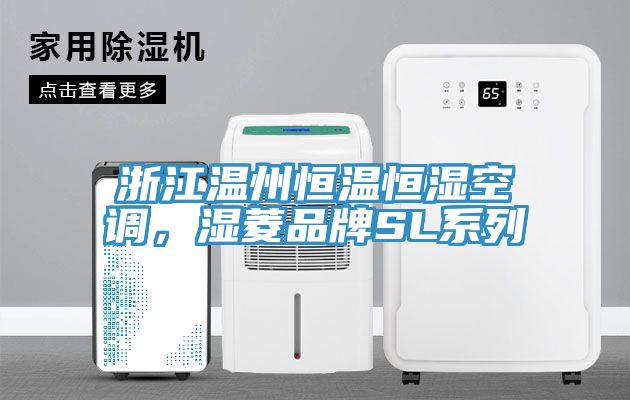 亚洲人成综合第一网站 浙江温州恒温恒湿空调，湿菱品牌SL系列
