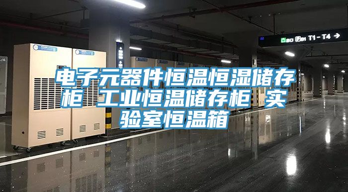 亚洲乱码一区二区三区 电子元器件恒温恒湿储存柜 工业恒温储存柜 实验室恒温箱
