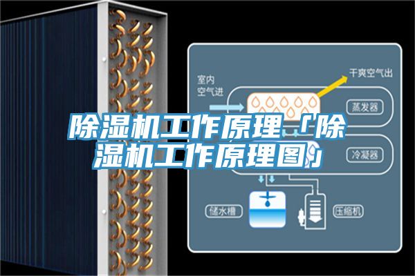亚洲欧美一级特黄大片 除湿机工作原理「除湿机工作原理图」