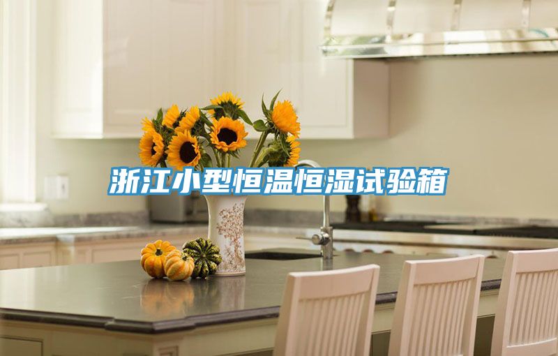 亚洲欧美一级特黄大片 浙江小型恒温恒湿试验箱