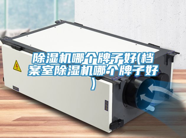 亚洲人成综合第一网站 除湿机哪个牌子好(档案室除湿机哪个牌子好)