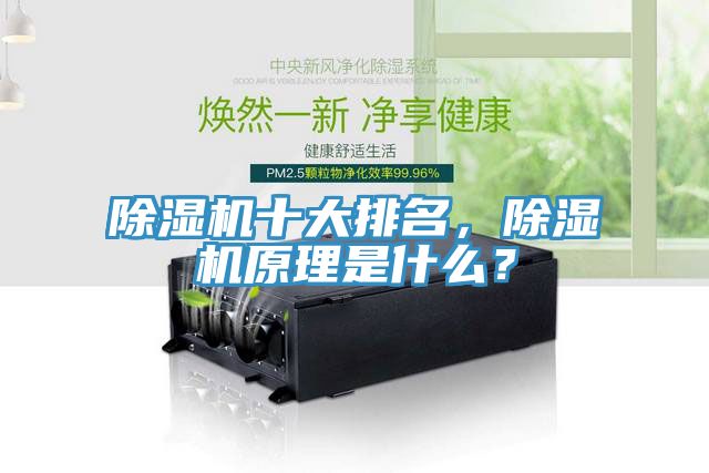 亚洲人成综合第一网站 除湿机十大排名，除湿机原理是什么？