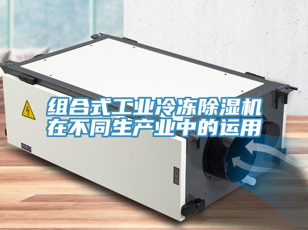 亚洲欧美一级特黄大片 组合式工业冷冻除湿机在不同生产业中的运用