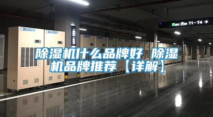 亚洲欧美一级特黄大片 除湿机什么品牌好 除湿机品牌推荐【详解】