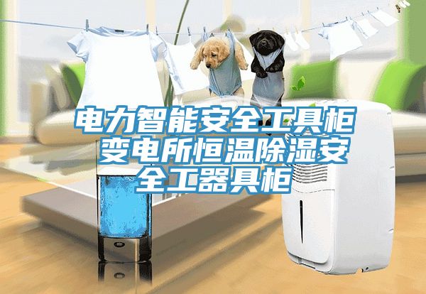 亚洲人成综合第一网站 电力智能安全工具柜 变电所恒温除湿安全工器具柜
