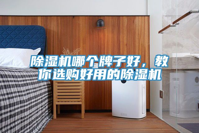亚洲乱码一区二区三区 除湿机哪个牌子好，教你选购好用的除湿机