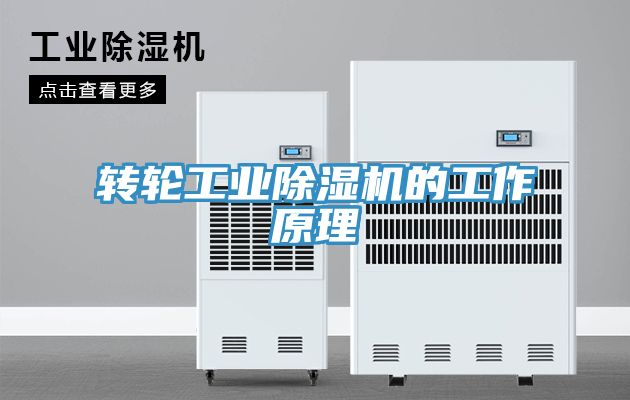 亚洲人成综合第一网站 转轮工业除湿机的工作原理