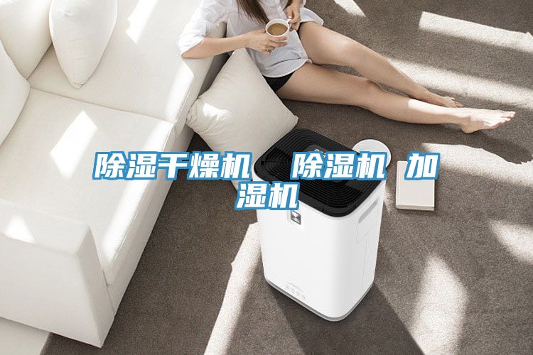 亚洲欧美一级特黄大片 除湿干燥机  除湿机 加湿机