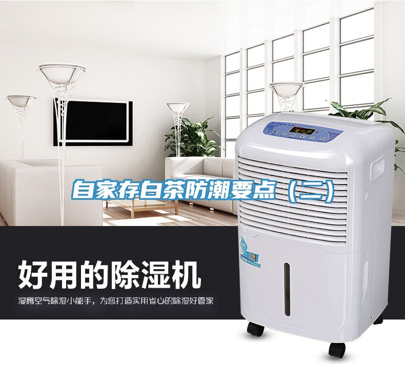 亚洲人成综合第一网站 自家存白茶防潮要点（二）