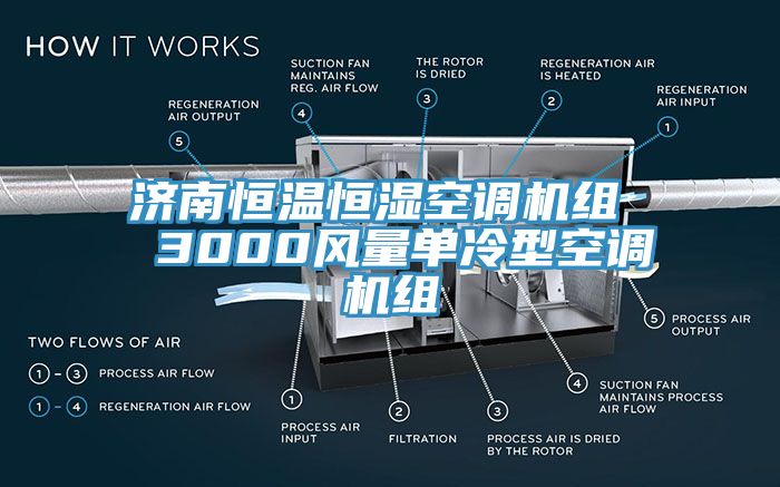 亚洲人成综合第一网站 济南恒温恒湿空调机组  3000风量单冷型空调机组