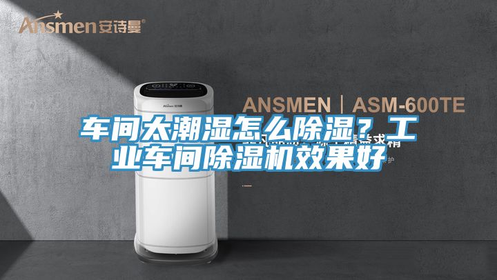亚洲人成综合第一网站 车间太潮湿怎么除湿？工业车间除湿机效果好