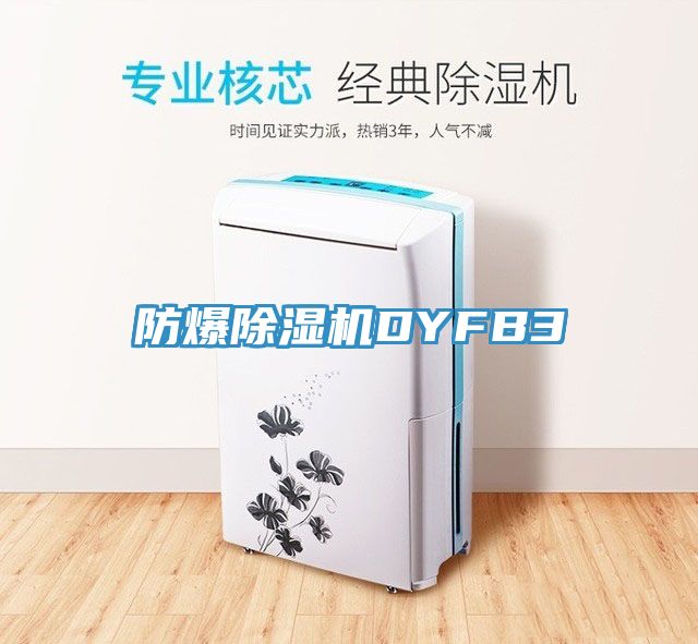 亚洲乱码一区二区三区 防爆除湿机DYFB3