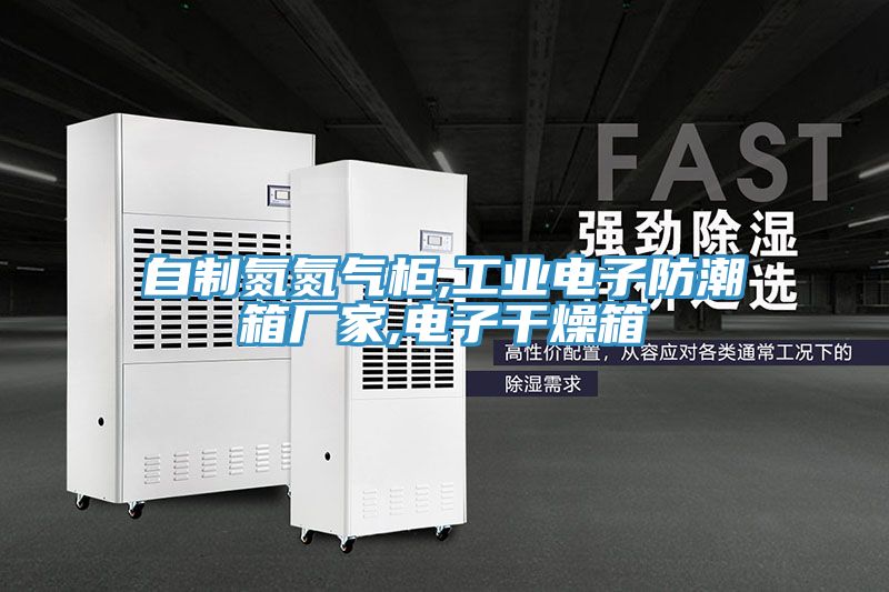 亚洲人成综合第一网站 自制氮氮气柜,工业电子防潮箱厂家,电子干燥箱