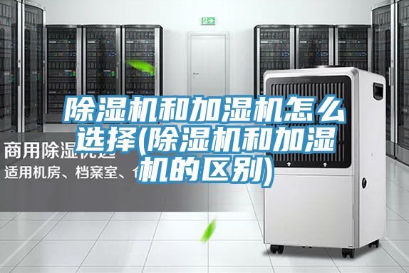 亚洲人成综合第一网站 除湿机和加湿机怎么选择(除湿机和加湿机的区别)