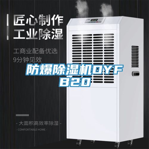 亚洲乱码一区二区三区 防爆除湿机DYFB20