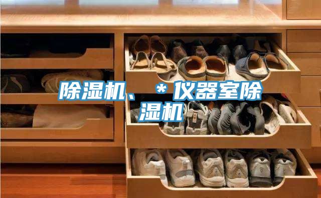 亚洲欧美一级特黄大片 除湿机、＊仪器室除湿机
