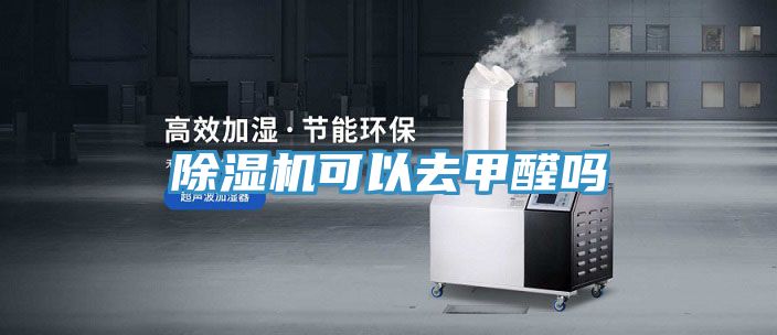 亚洲人成综合第一网站 除湿机可以去甲醛吗