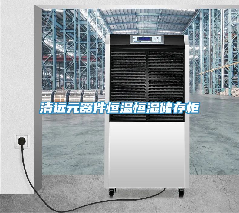 亚洲人成综合第一网站 清远元器件恒温恒湿储存柜