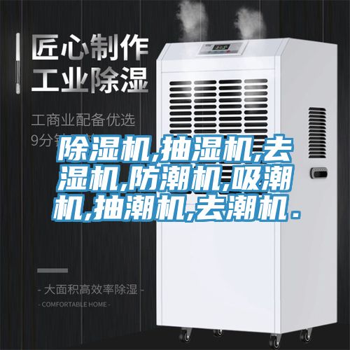 亚洲欧美一级特黄大片 除湿机,抽湿机,去湿机,防潮机,吸潮机,抽潮机,去潮机．