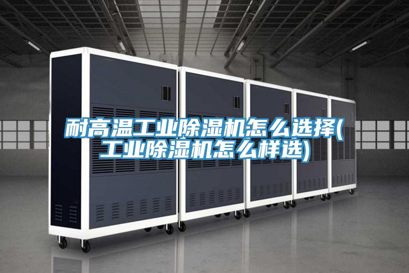 亚洲欧美一级特黄大片 耐高温工业除湿机怎么选择(工业除湿机怎么样选)