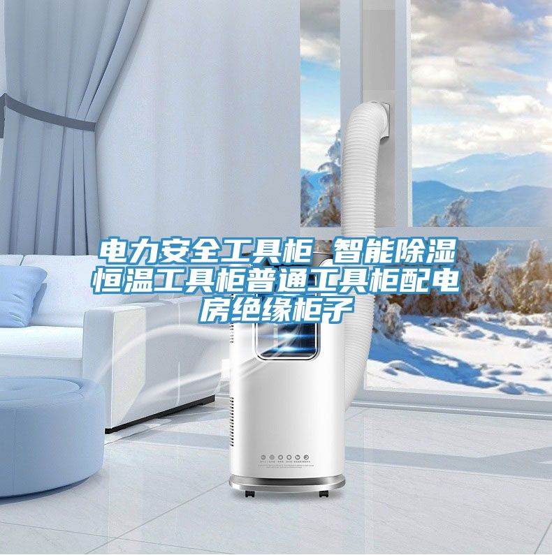 亚洲欧美一级特黄大片 电力安全工具柜 智能除湿恒温工具柜普通工具柜配电房绝缘柜子