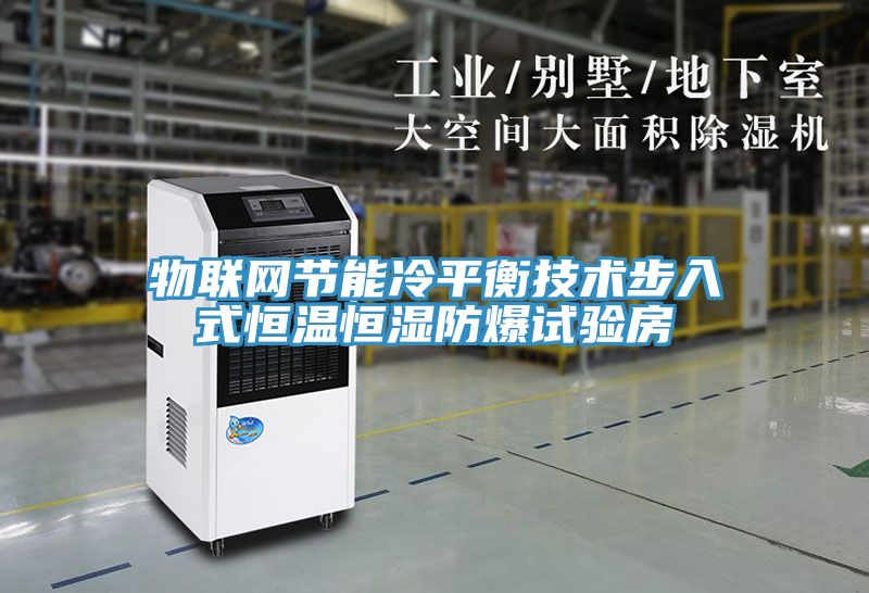 亚洲欧美一级特黄大片 物联网节能冷平衡技术步入式恒温恒湿防爆试验房