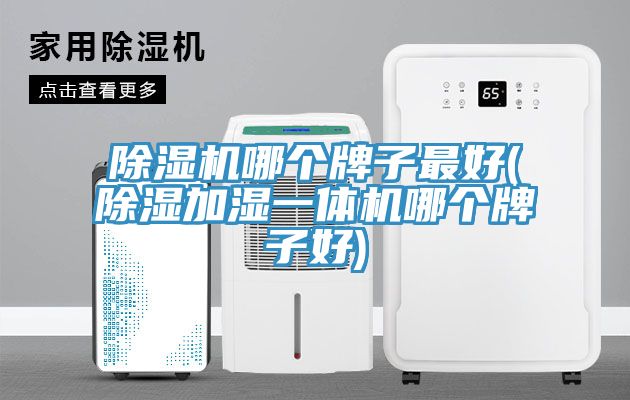 亚洲乱码一区二区三区 除湿机哪个牌子最好(除湿加湿一体机哪个牌子好)