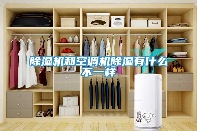 亚洲乱码一区二区三区 除湿机和空调机除湿有什么不一样