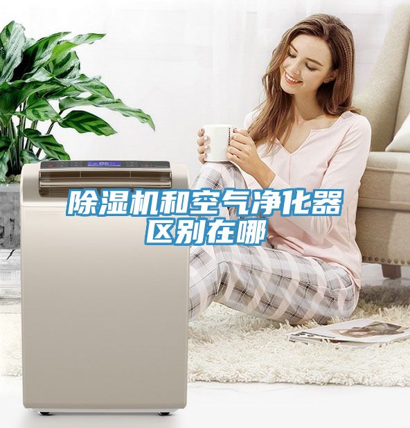 亚洲人成综合第一网站 除湿机和空气净化器区别在哪