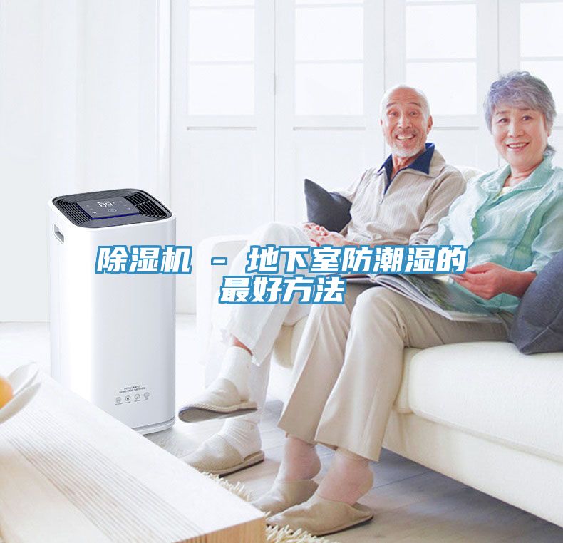 亚洲人成综合第一网站 除湿机 - 地下室防潮湿的最好方法