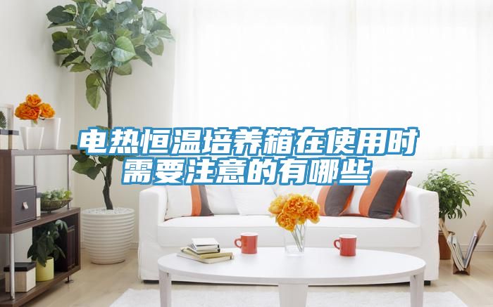 亚洲乱码一区二区三区 电热恒温培养箱在使用时需要注意的有哪些
