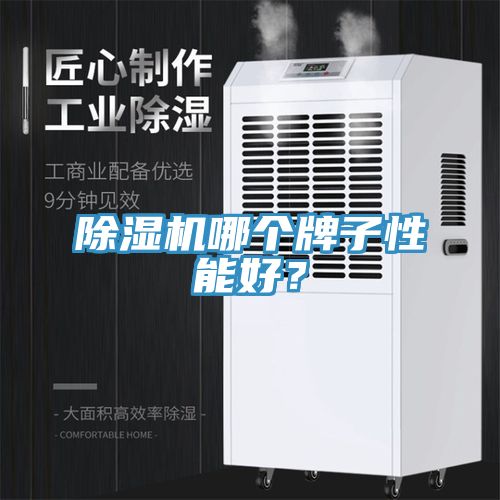 亚洲欧美一级特黄大片 除湿机哪个牌子性能好？