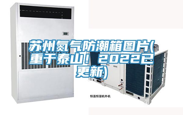 亚洲乱码一区二区三区 苏州氮气防潮箱图片(重于泰山！2022已更新)
