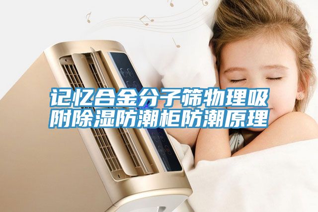 亚洲人成综合第一网站 记忆合金分子筛物理吸附除湿防潮柜防潮原理