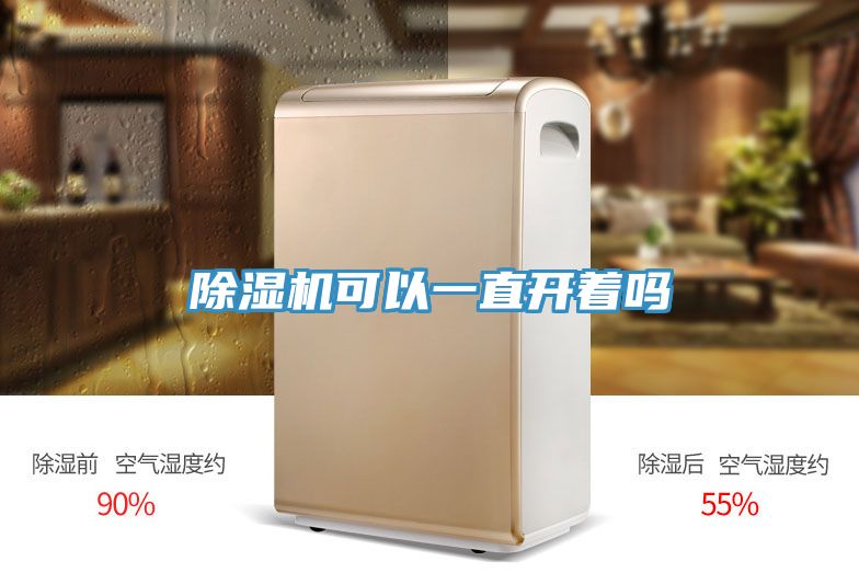 亚洲欧美一级特黄大片 除湿机可以一直开着吗