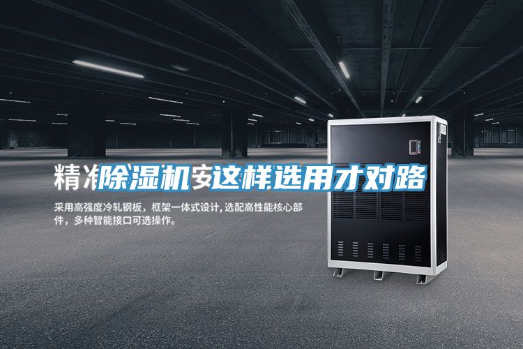 亚洲人成综合第一网站 除湿机 这样选用才对路