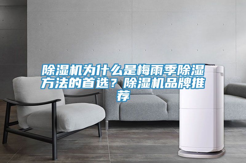 亚洲欧美一级特黄大片 除湿机为什么是梅雨季除湿方法的首选？除湿机品牌推荐