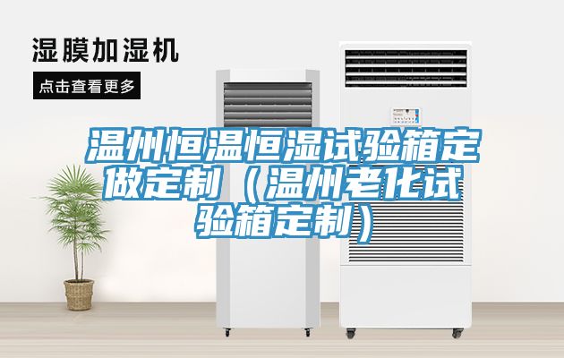 亚洲乱码一区二区三区 温州恒温恒湿试验箱定做定制（温州老化试验箱定制）