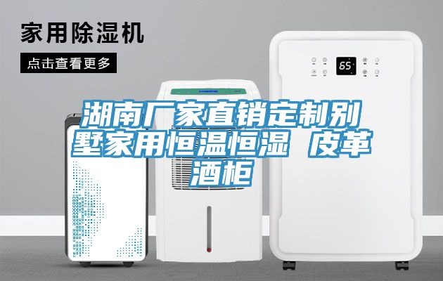 亚洲欧美一级特黄大片 湖南厂家直销定制别墅家用恒温恒湿 皮革酒柜