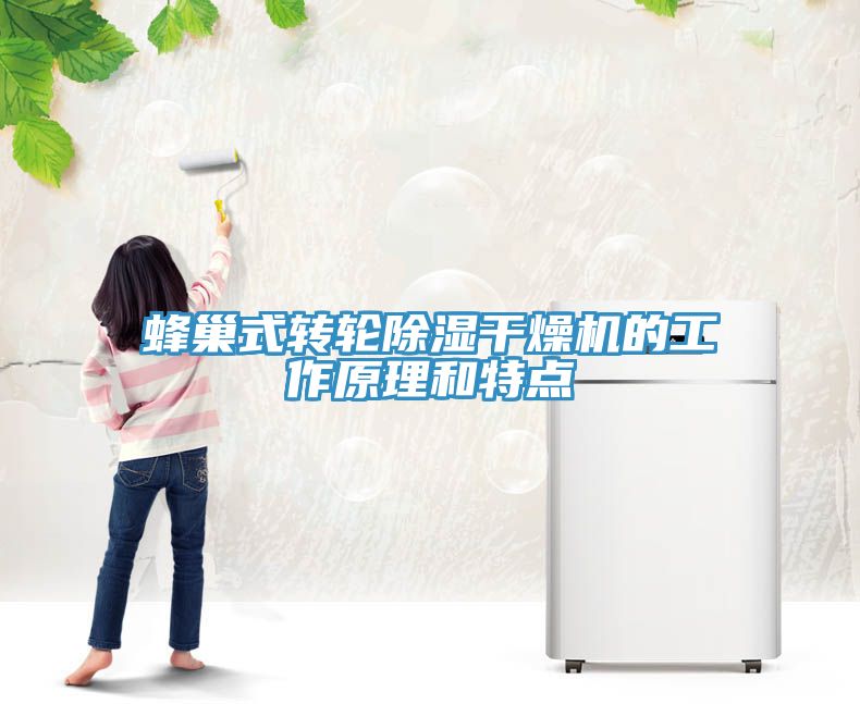 亚洲乱码一区二区三区 蜂巢式转轮除湿干燥机的工作原理和特点