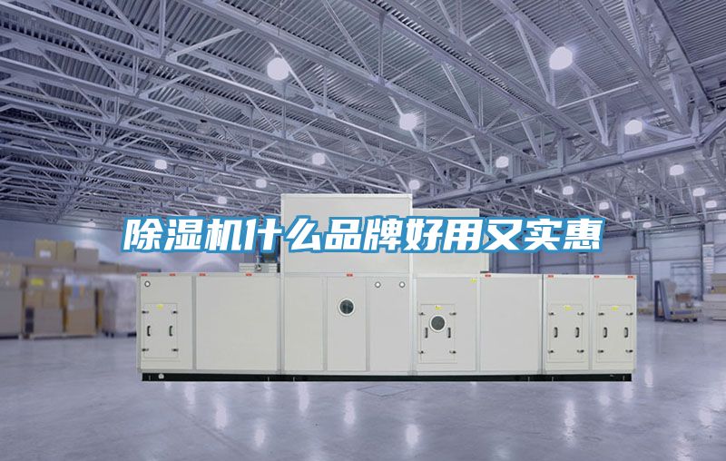 亚洲人成综合第一网站 除湿机什么品牌好用又实惠