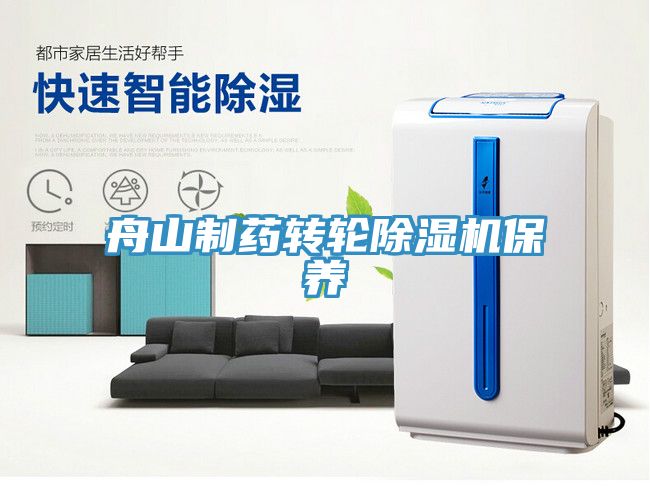 亚洲人成综合第一网站 舟山制药转轮除湿机保养