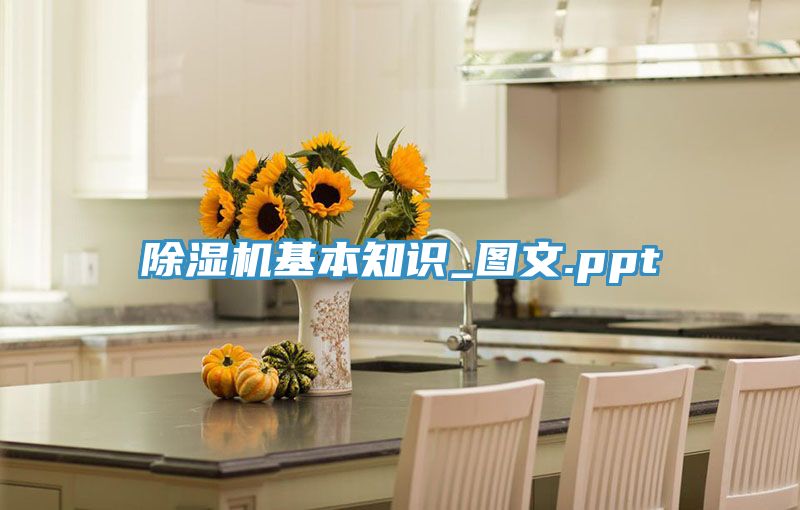 亚洲人成综合第一网站 除湿机基本知识_图文.ppt