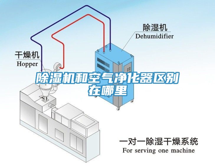 亚洲乱码一区二区三区 除湿机和空气净化器区别在哪里
